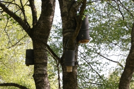 C10_Valléé de la Helle_20230601_CT et DD (13)