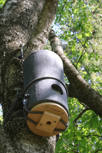 C10_Valléé de la Helle_20230601_CT et DD (2)