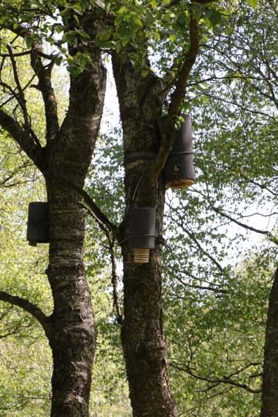 C10_Valléé de la Helle_20230601_CT et DD (9)