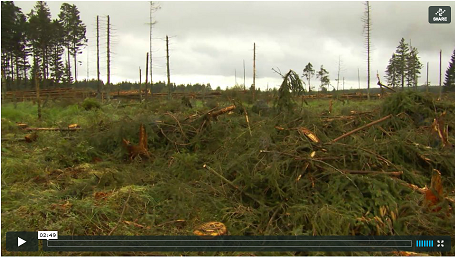 SéquenceTechnique_C1a