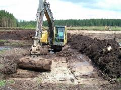 Erection d'une qique argilotorubeuse dans la Fagne de la Goutte (Plateau des Tailles)