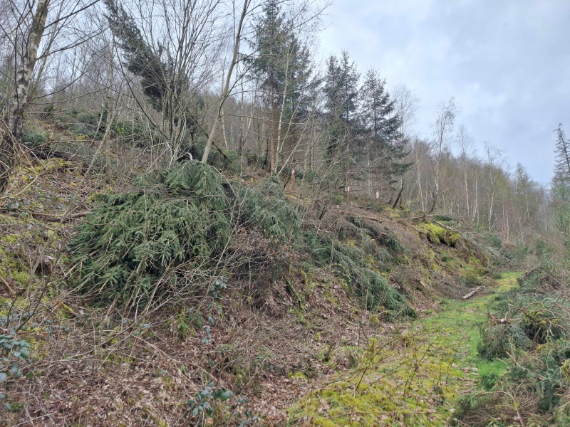 C2_Pont_Maboge_achats_B1_20240403_LL (12) - Copie