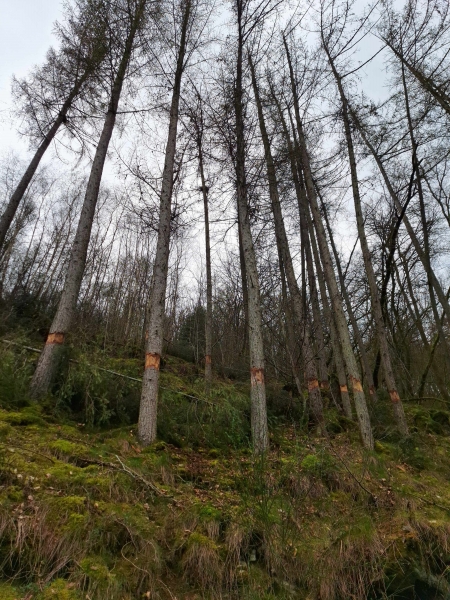 C2_Pont_Maboge_achats_B1_20240403_LL (3) - Copie