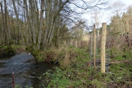 C3_Plantations_protections_Lienne_amont_pont_de_chailles_20221129_LL (1)