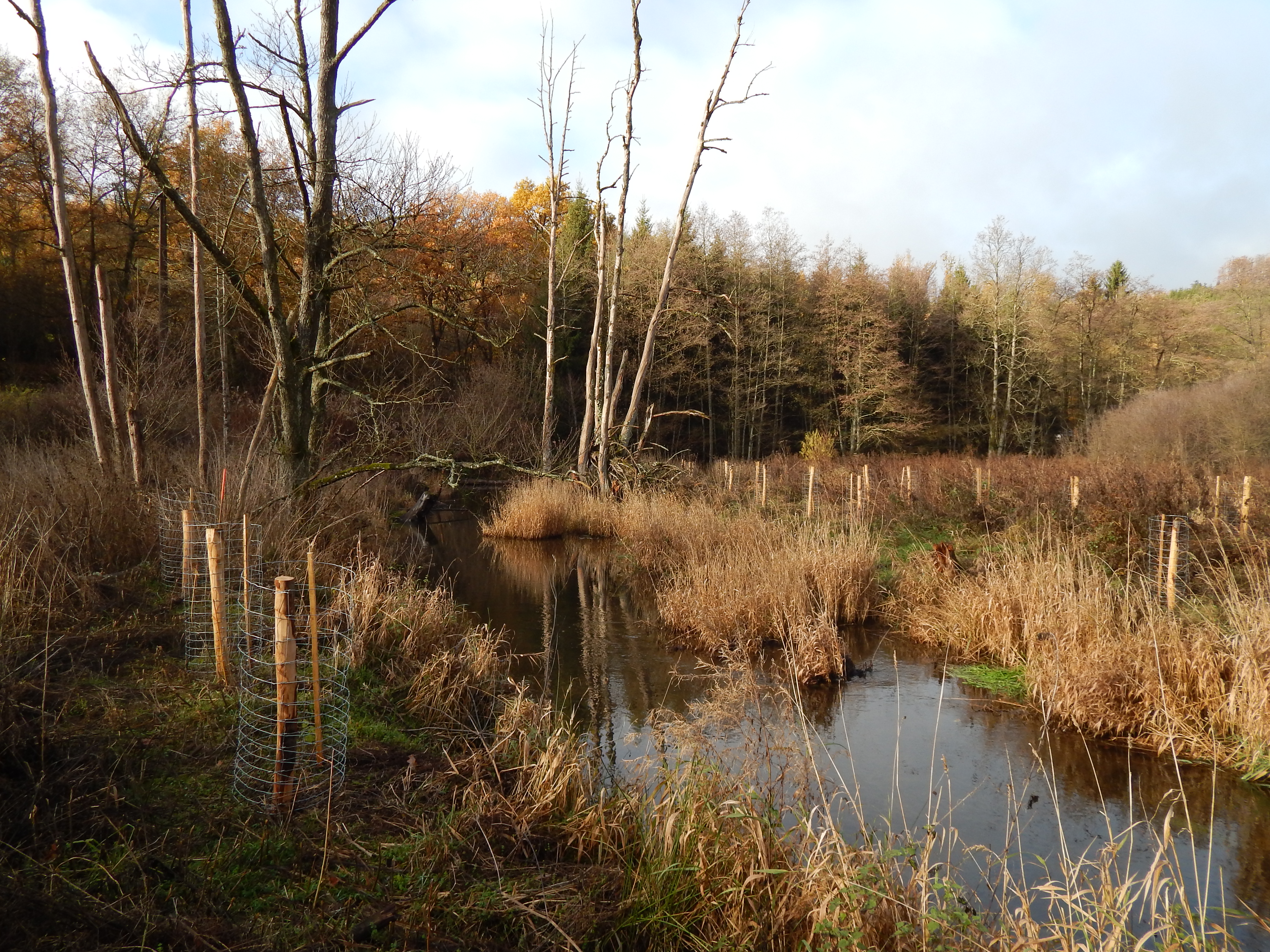 C3_RND_Pres_Lienne_202211_CT (12)