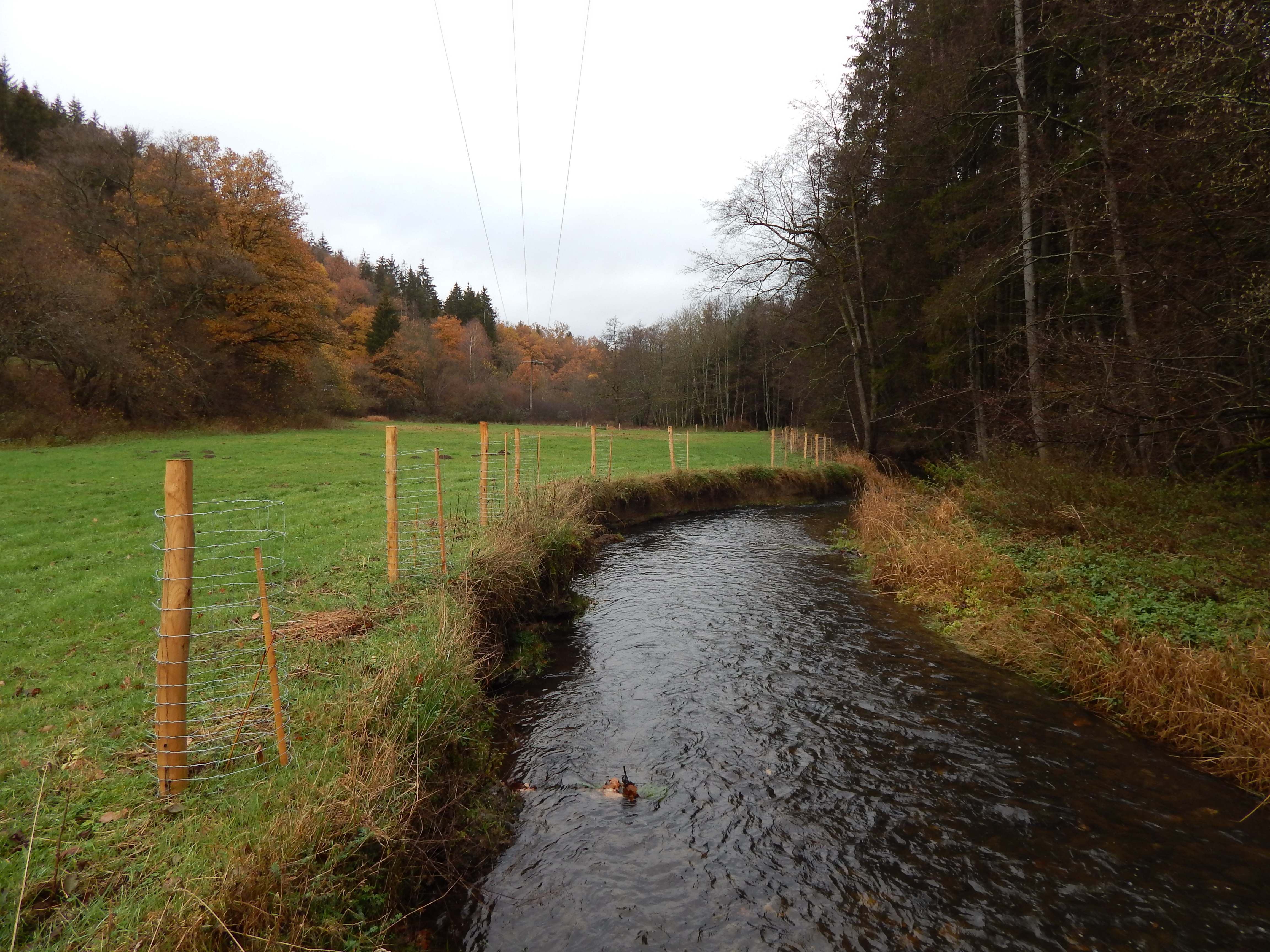 20220909_084915_copie