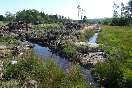 C3a_Bouchage_drains_Sacrawé_201508_ruisseau_DP (15)