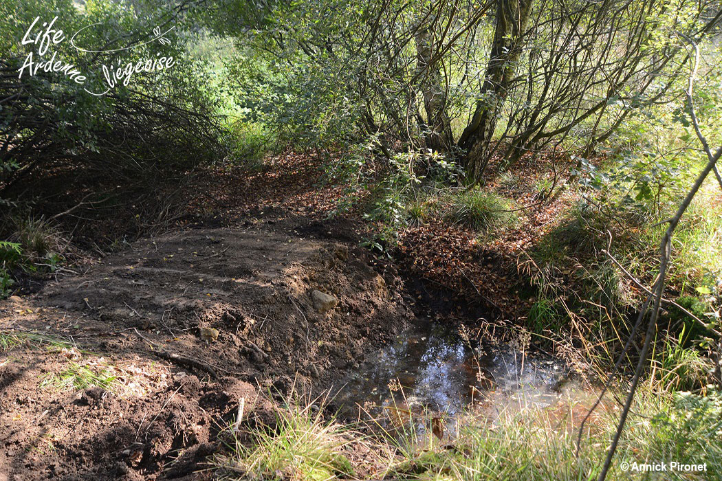 C3a_Colmatage_Drains_Solwaser_API_9737