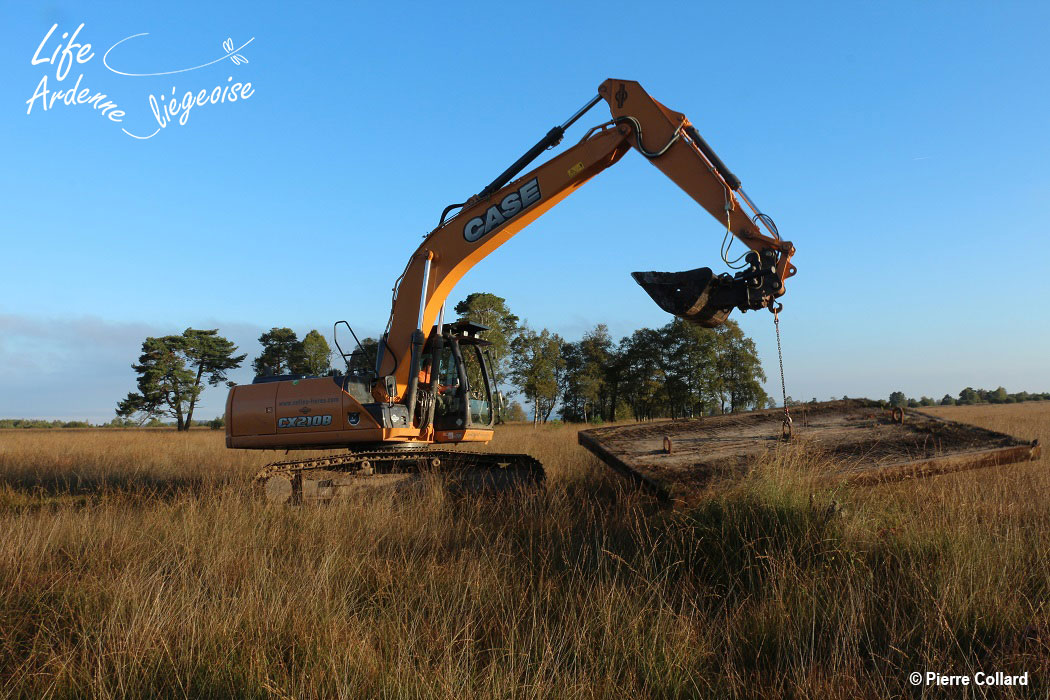 C3a_DEPLACEMENT-SUR-PLATEAUX_Malchamps_PC-(2)