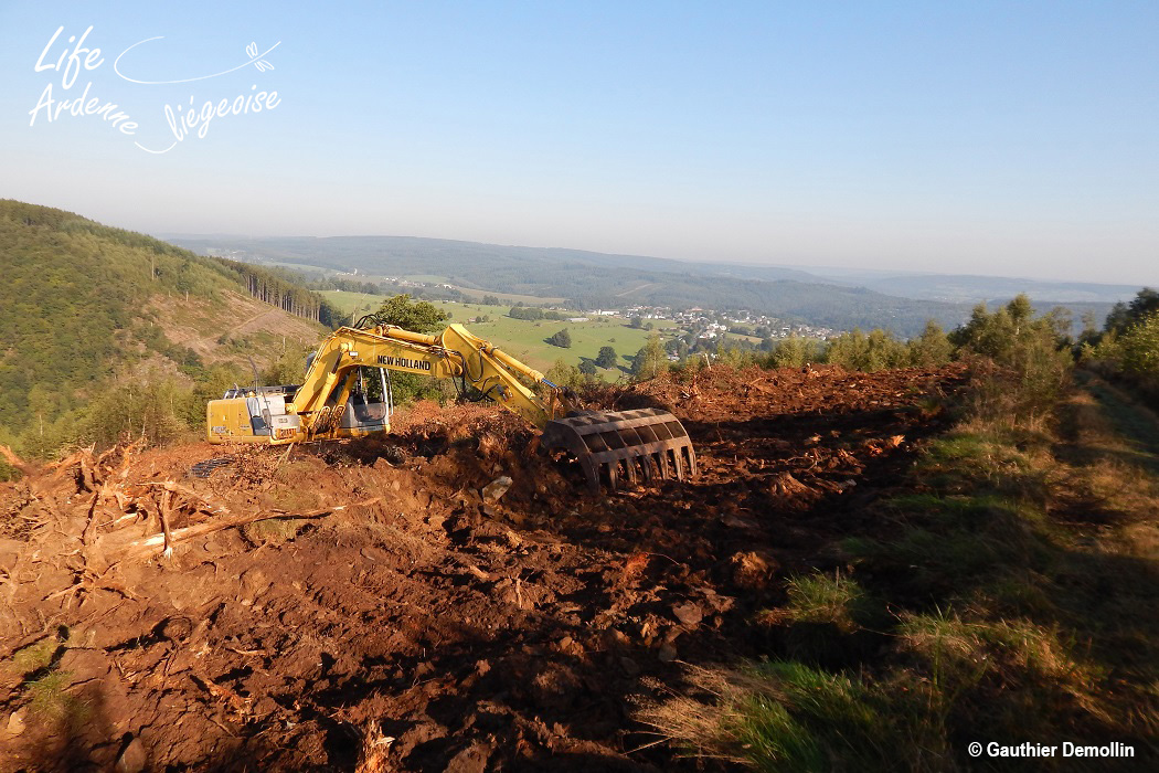 C4_Etrepage_PEIGNAGE_CAMP_CELT_2015_GD (3)