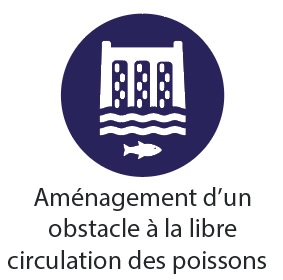 C1_Coupe_selective_resineux_isoles