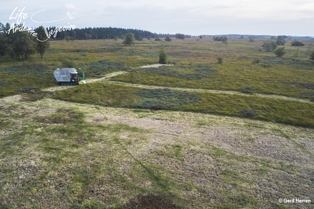 C8_Fauchage_Malchamps_DJI_0303correct