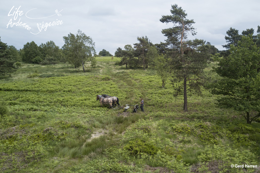 C8_Malchamps_DJI_0483correct_(c)Gerd