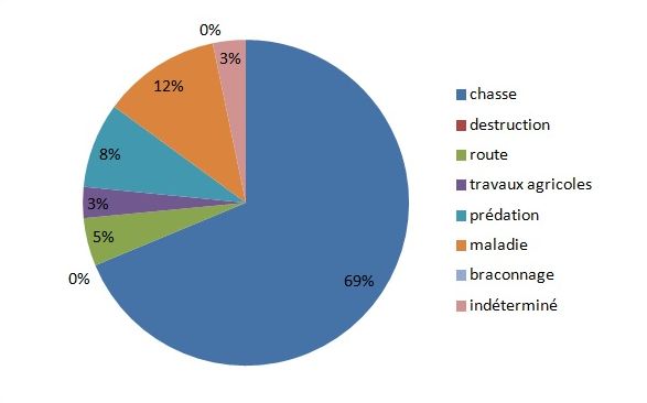 cause_mortalite_lapin