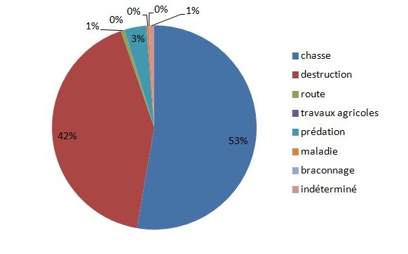 cause_mortalite_pigeon