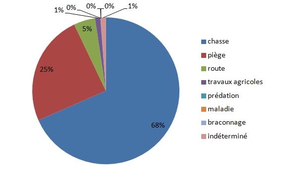 cause_mortalite_renard