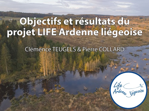 CLEM_PIERRE