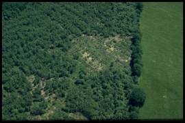 Dia 014 du PCD 1421 de Duchesnes Dia 014 du PCD 1421 de Duchesnes