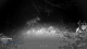 copie_ecran
