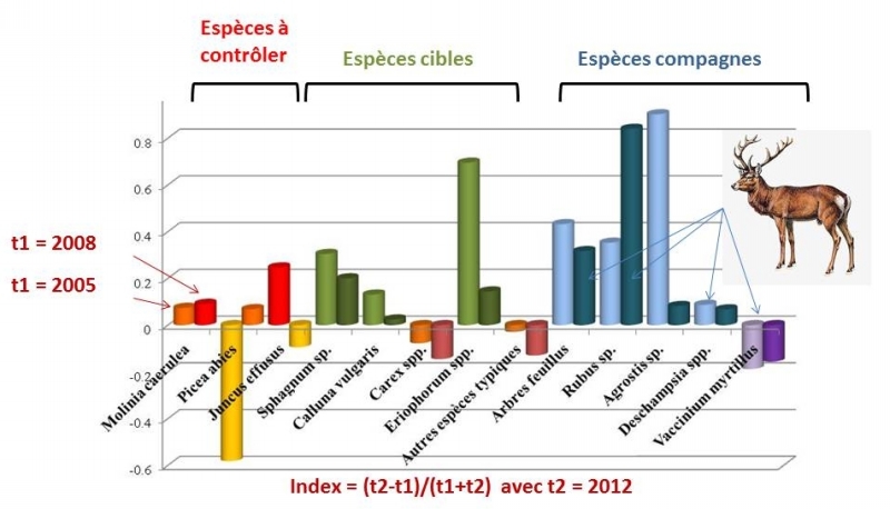 Evolution de la végétation à Saint-Hubert