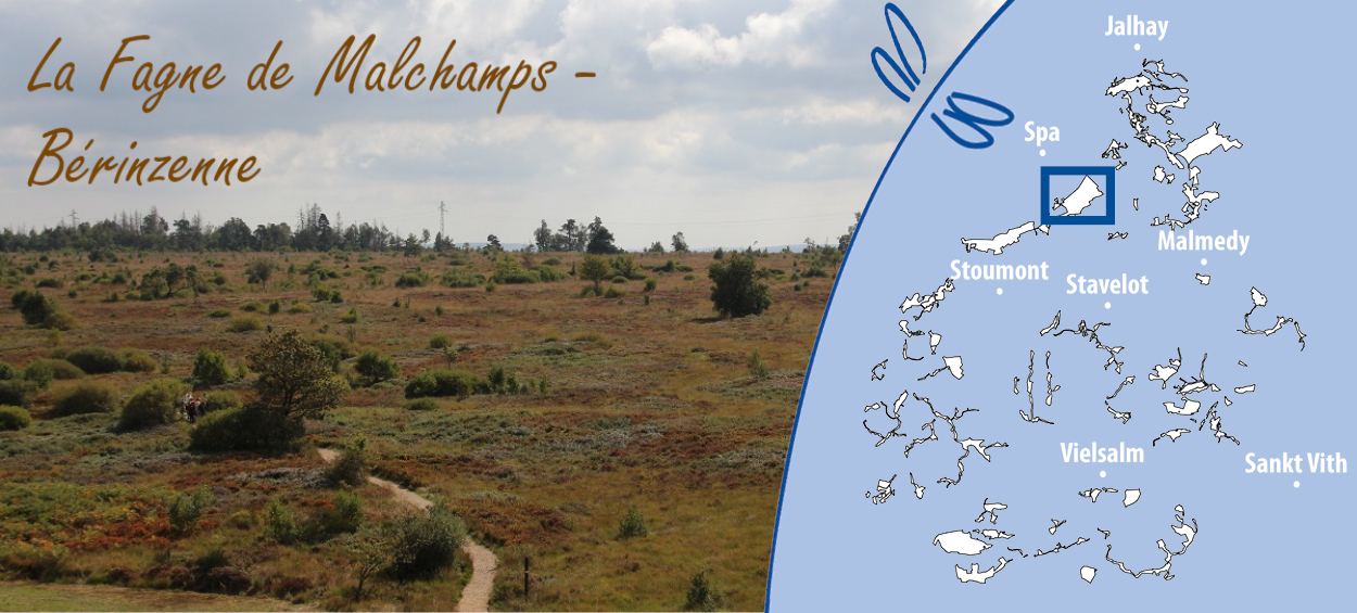 Malchamps