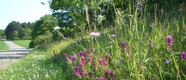 Photos bords de routes