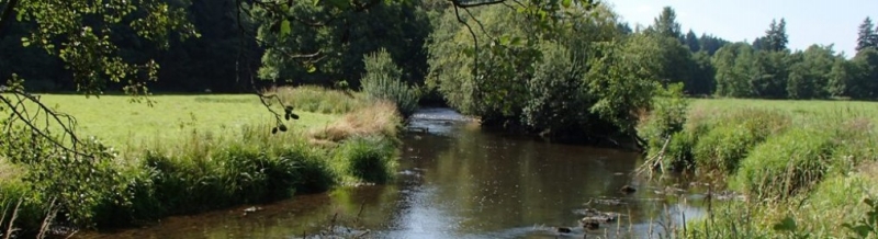 cropped-p8211342-copie1