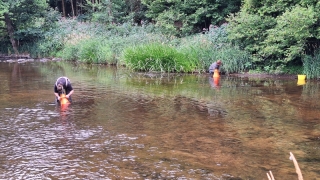 D_inventaire_mulette_PNHFE_20230726_102426