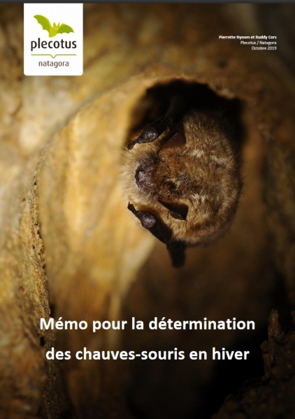 Aide à la détermination