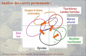 Relevés phytosociologiques 2005-2008 Ordination de base2005-2008 Ordination ellipses
