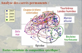 Relevés phytosociologiques 2005-2008 Trajectoires des relevés sur 4 ans