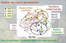 Relevés phytosociologiques 2005-2008 - Trajectoires pessières