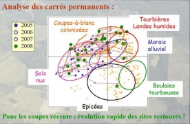 Relevés phytosociologiques 2005-2008 Trajectoires des coupes