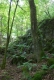 Erablaie des coulées pierreuses [copyright Wibail Lionel]