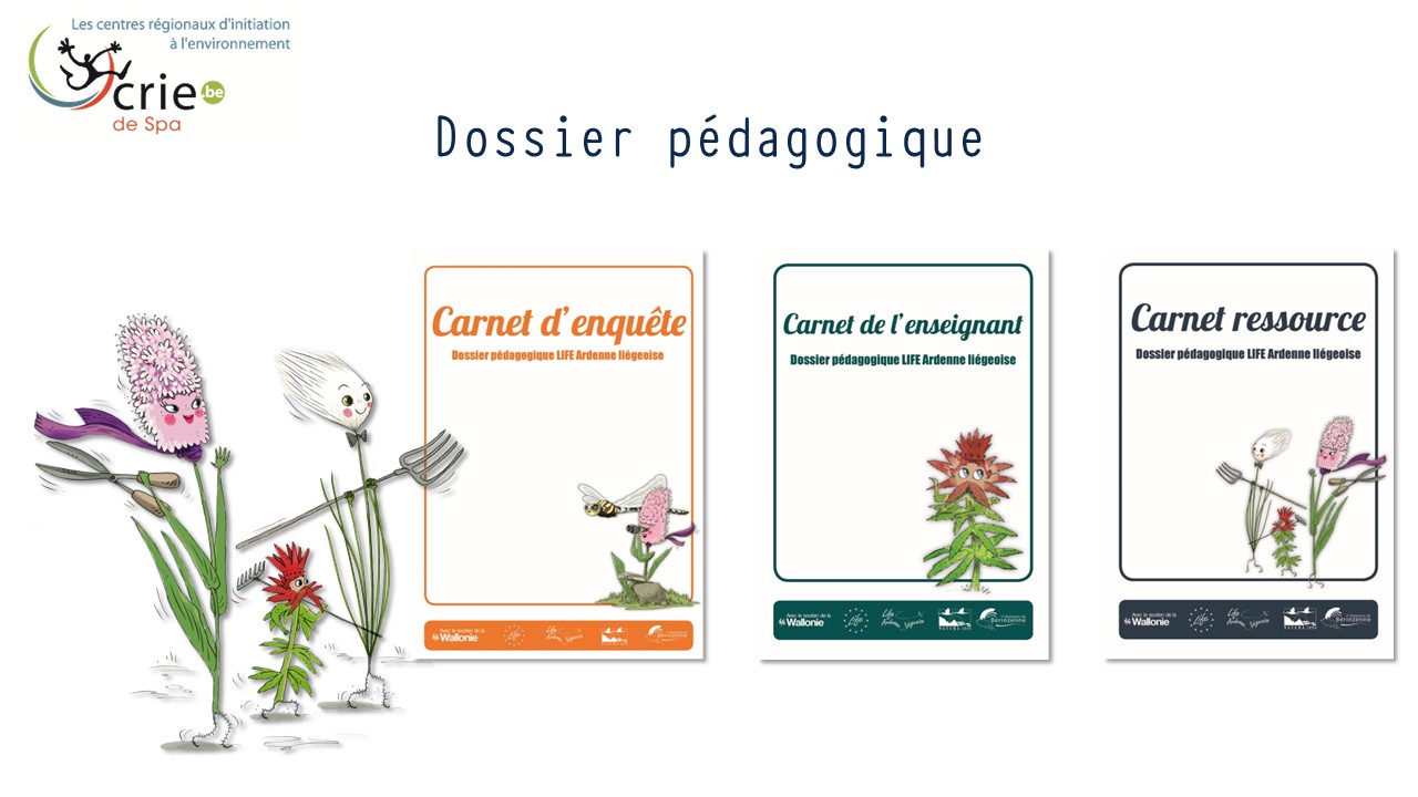 Dossier_peda