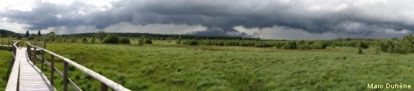 DSC01275.JPG DSC01275.JPG