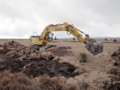 étrépage_duret_Nelles