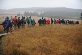 Colloque David Herman 3