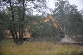 Colloque David Herman 5