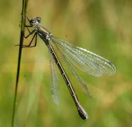 DSC_4925.JPG DSC_4925.JPG