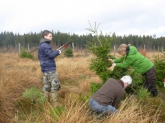 Bénévoles_Soignies2012