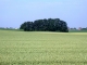 DSCN3824.JPG