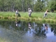 DSCN4644.JPG