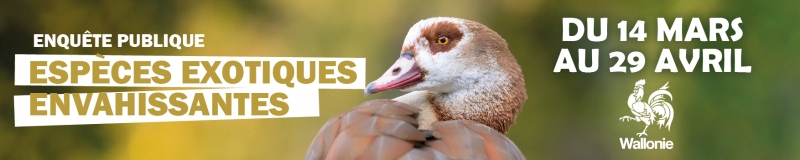 EP-EEE_banner_FR