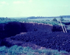 Exploitation de la tourbe en Hautes-Fagnes (R. Schumacker) Exploitation de la tourbe en Hautes-Fagnes (R. Schumacker)