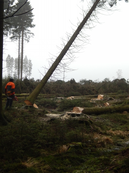 Fagne_Vecquee_20150218.JPG