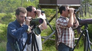 équipe d'ornithologues d'Aves