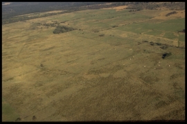 Dia 0081 du PCD 1101 de Duchesnes Dia 0081 du PCD 1101 de Duchesnes