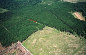 Flache_Priesse_aérien_0406 (4).jpg_1.jpg