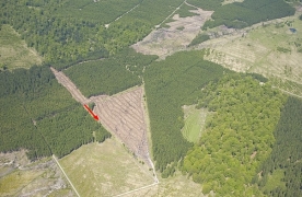 Flache_Priesse_aérien_0505 (7)_1.jpg